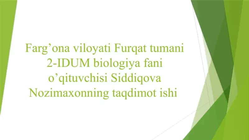 EKOLOGIK PIRAMIDA QOIDASI. BIOMASSA VA ENERGIYA PIRAMIDASI 1