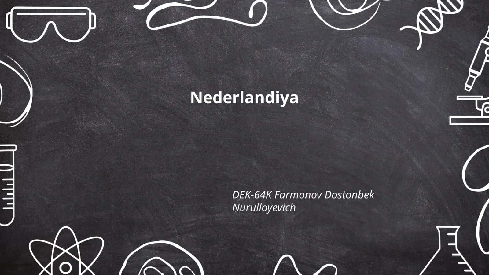 Nederlandiya Tarixi 1