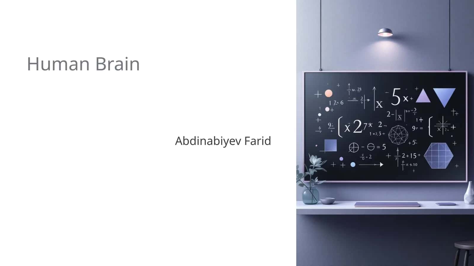 Human Brain 1