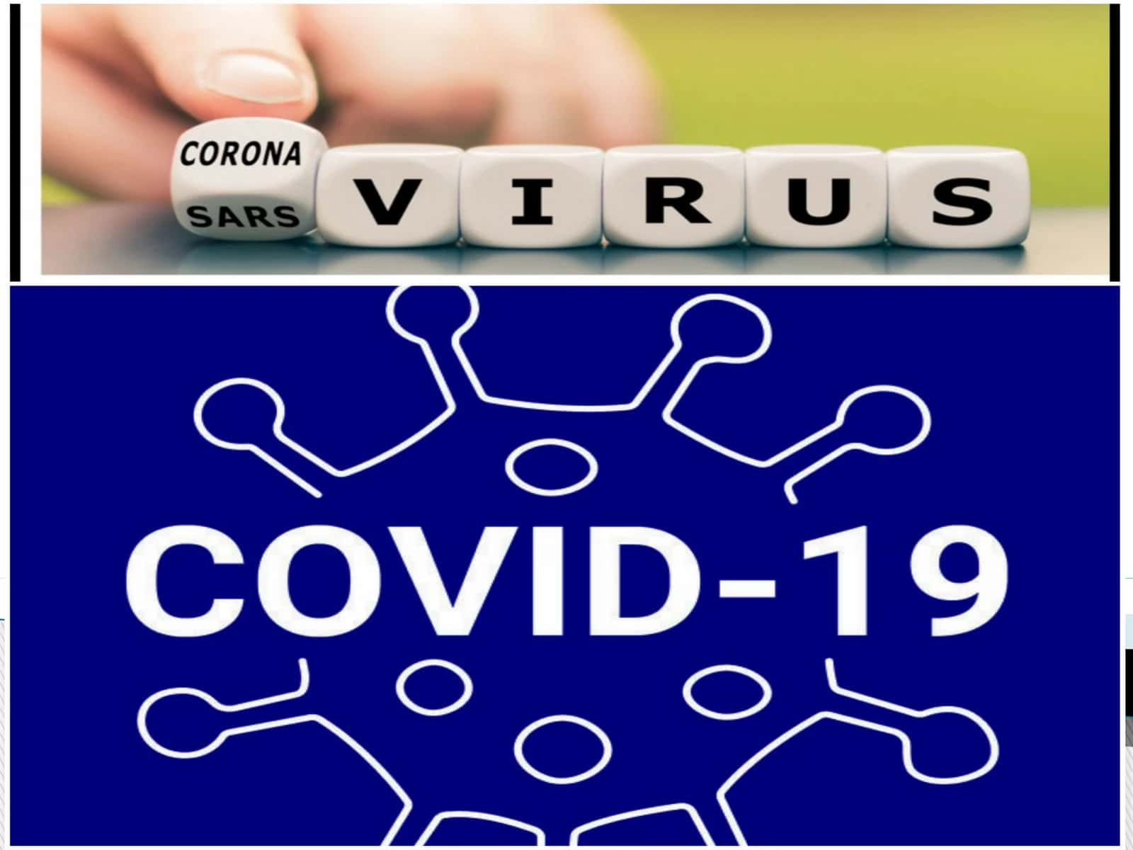 Koronavirus haqida 1