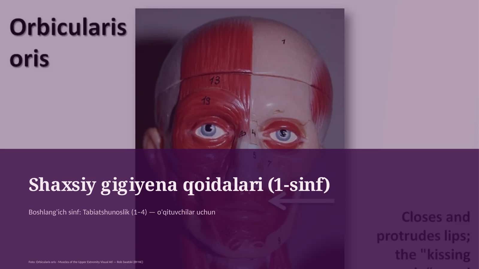 Shaxsiy gigiyena qoidalari (1-sinf) 1