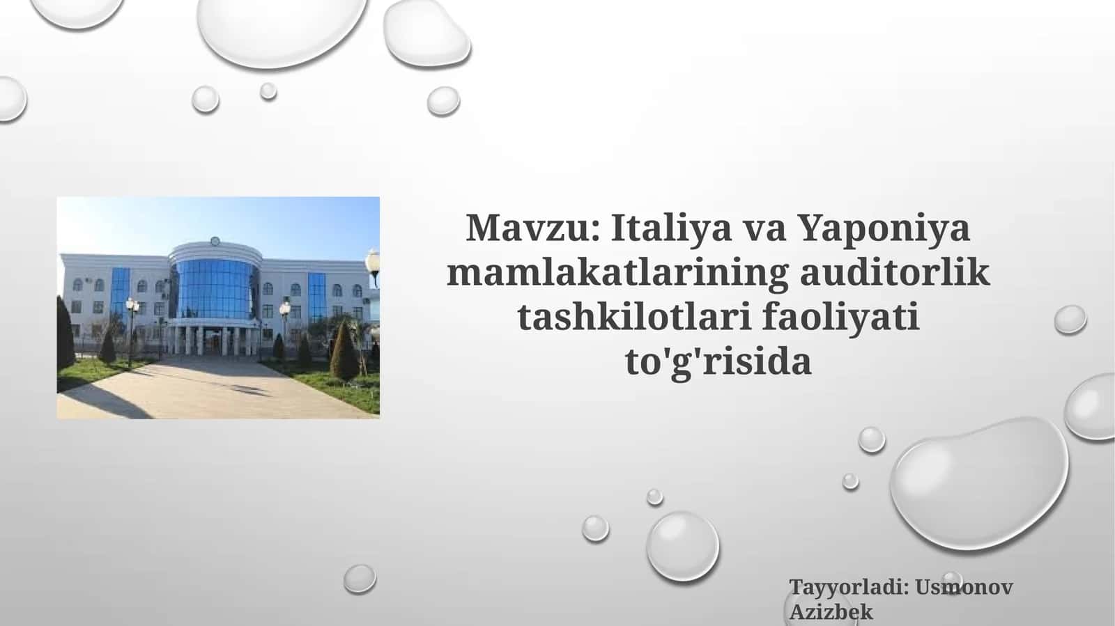 Italiya va Yaponiya mamlakatlari auditorlik tashkilotlari faoliyati to'g'risida 1