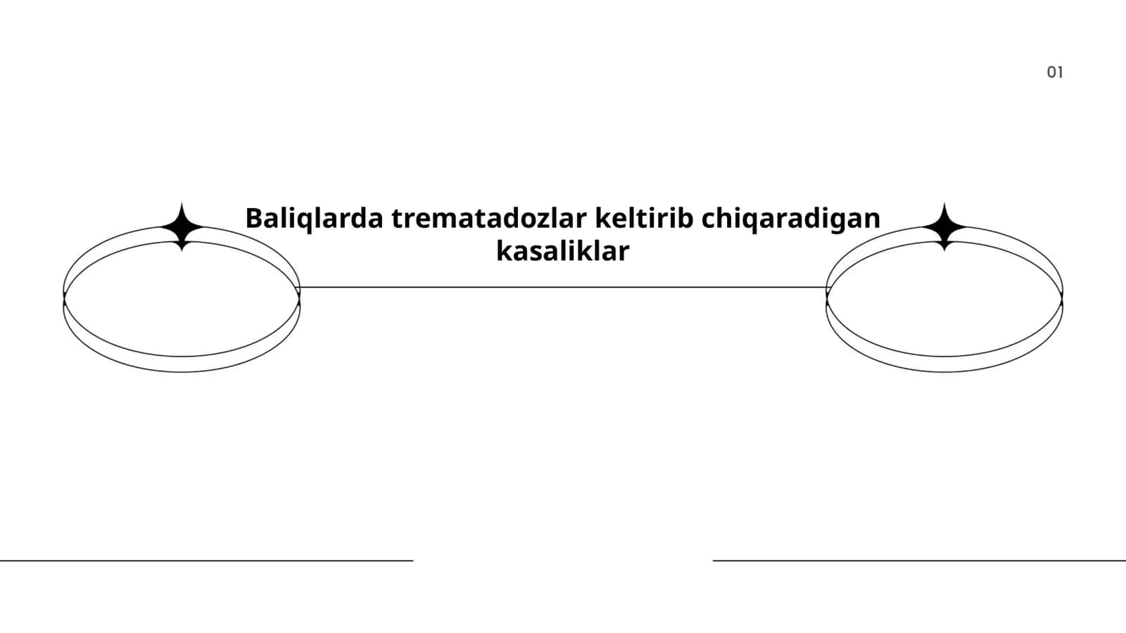 Baliqlarda trematadozlar keltirib chiqaradigan kasaliklar 1