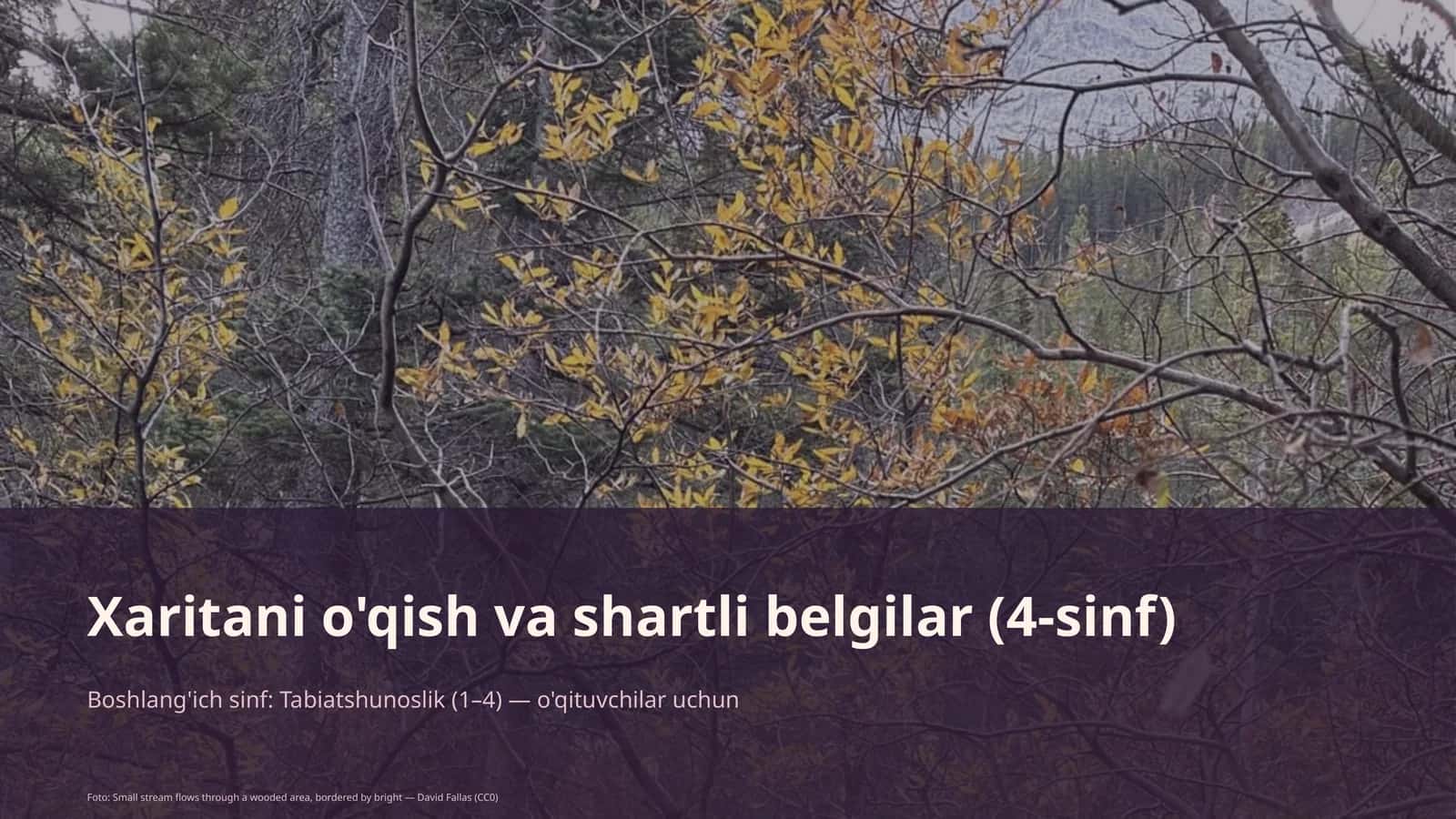 Xaritani o'qish va shartli belgilar (4-sinf) 1