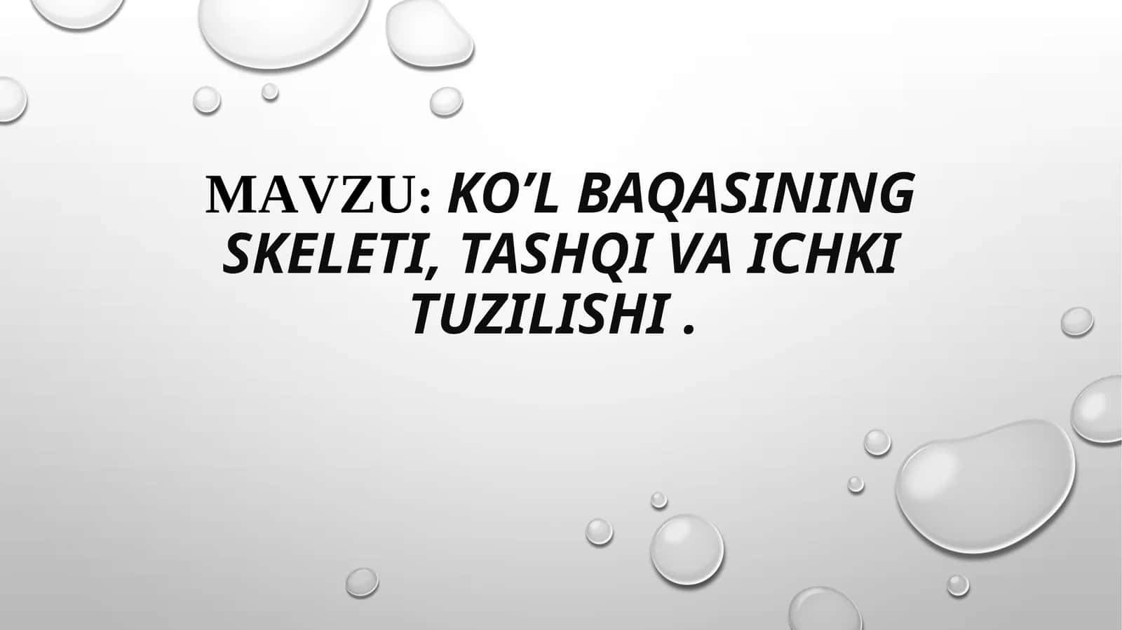Ko’l baqasining skeleti, tashqi va ichki tuzilishi 1