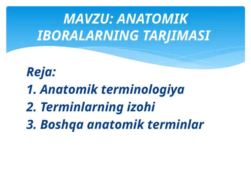 ANATOMIK IBORALARNING TARJIMASI 1