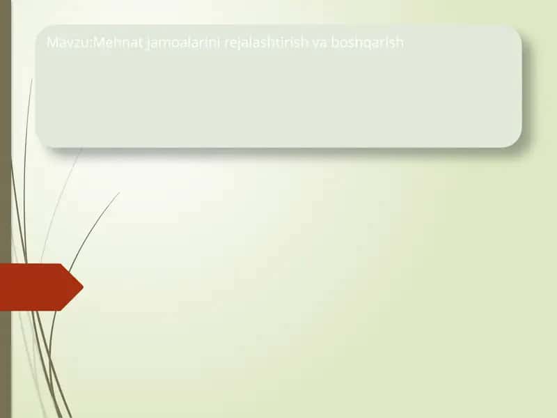 Mehnat jamoalarini rejalashtirish va boshqarish 1
