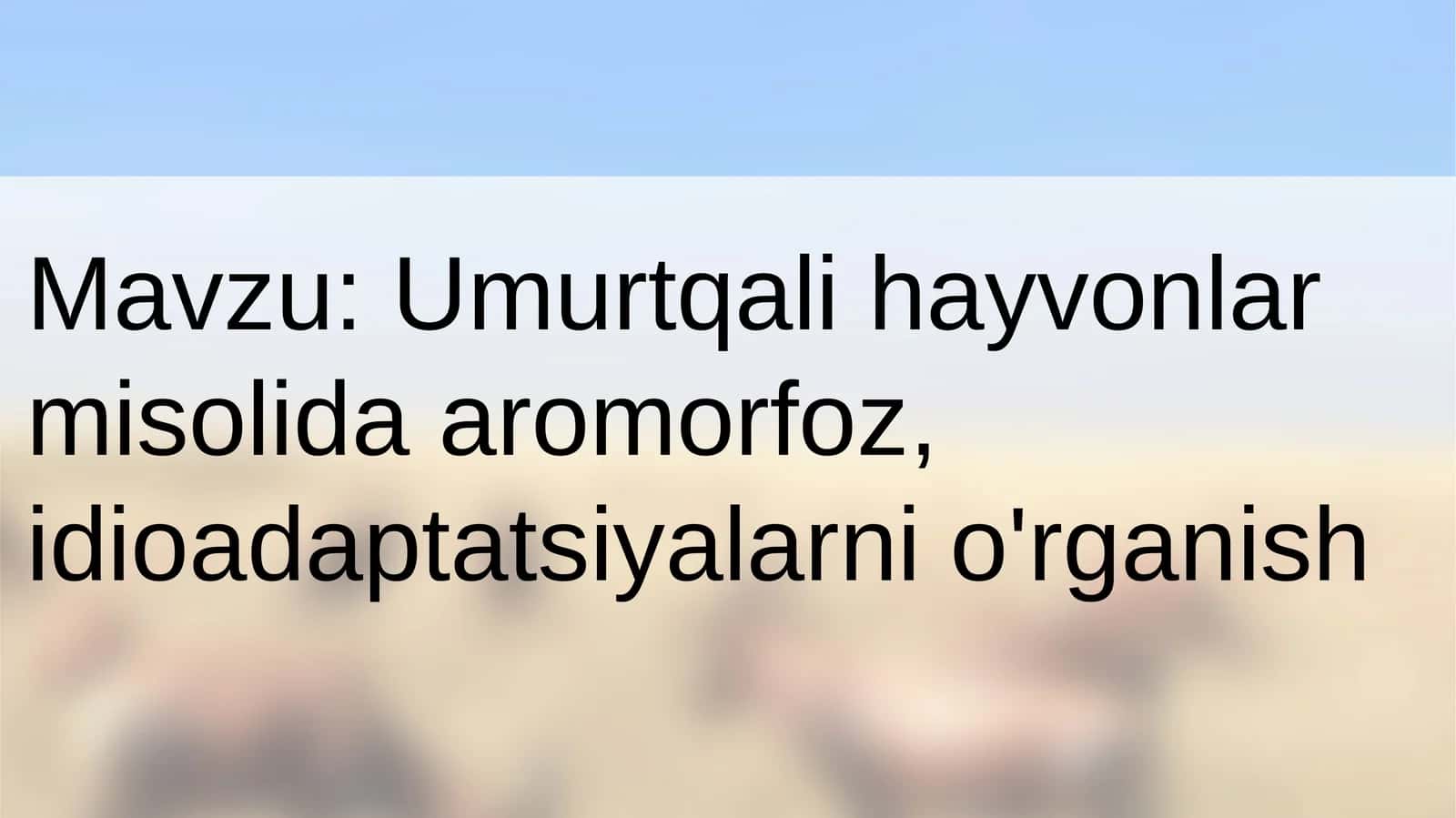 Umurtqali hayvonlarda aromorfoz va idioadaptatsiya 1