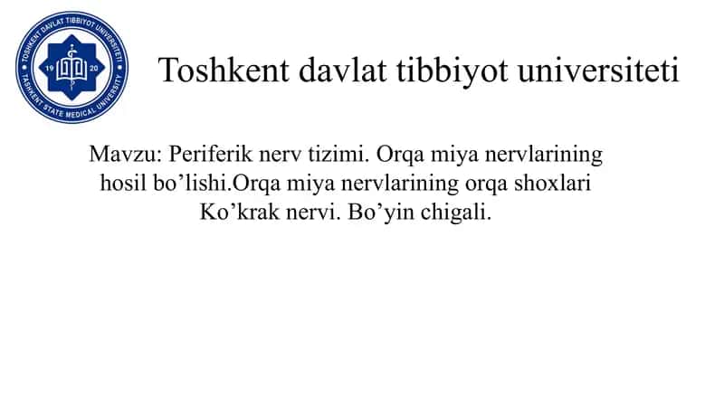 Orqa miya nervlari 1