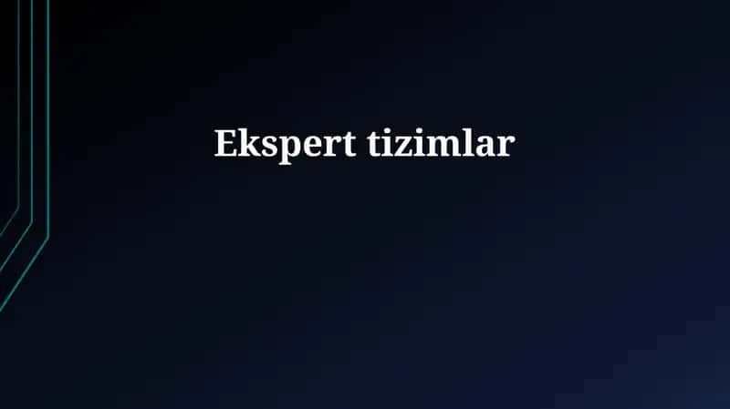 Ekspert tizimlar 1
