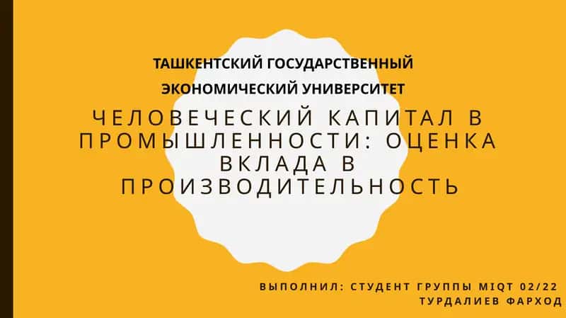 Человеческий капитал в промышленности 1