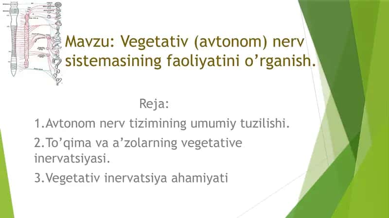 mustaqil ish 1