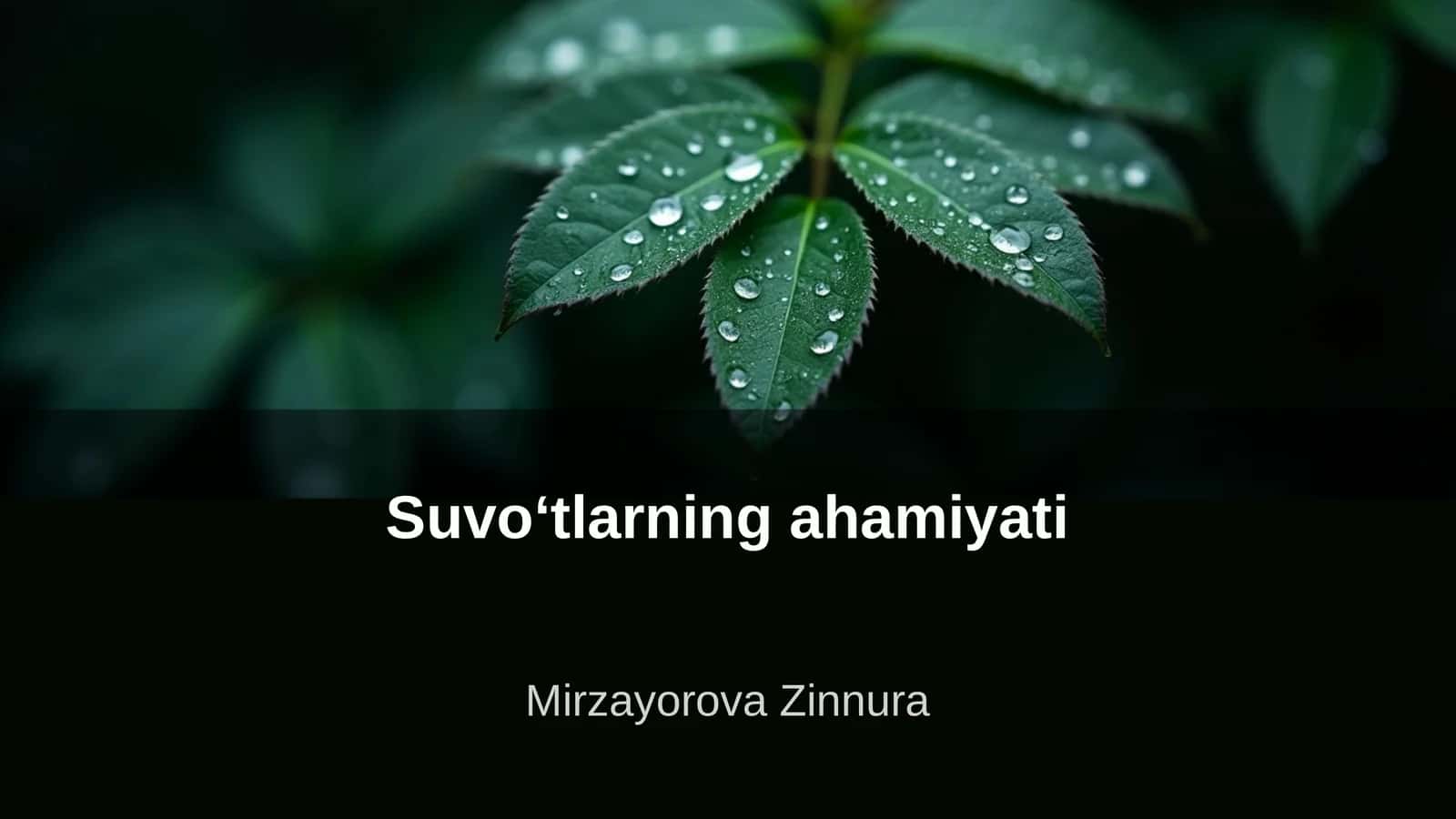 Suvoʻtlarning ahamiyati 1