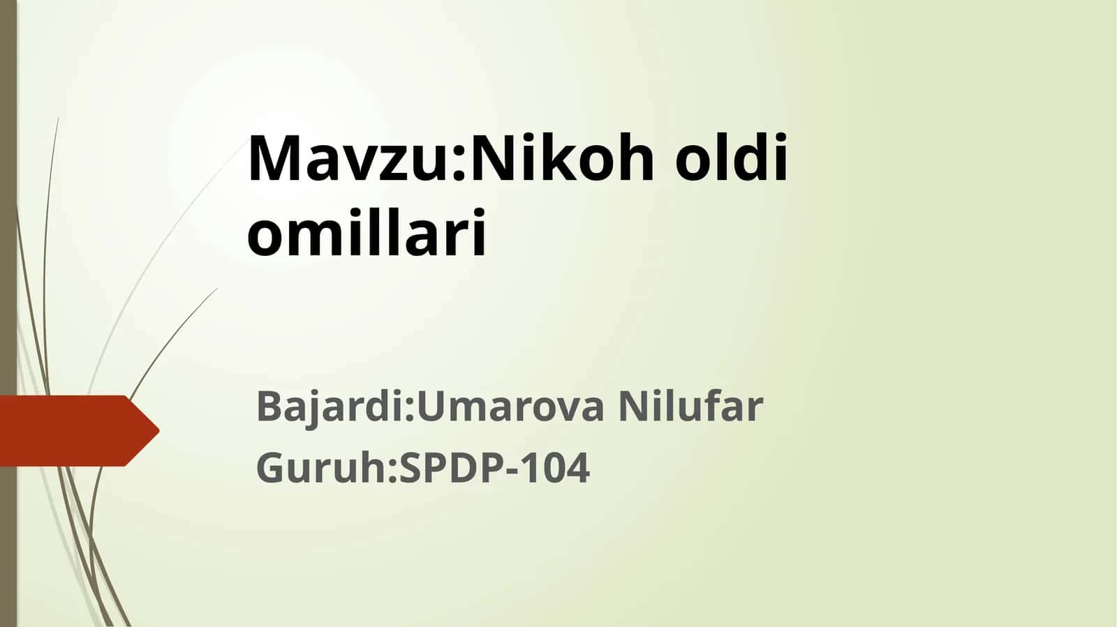 Nikoh oldi omillari 1