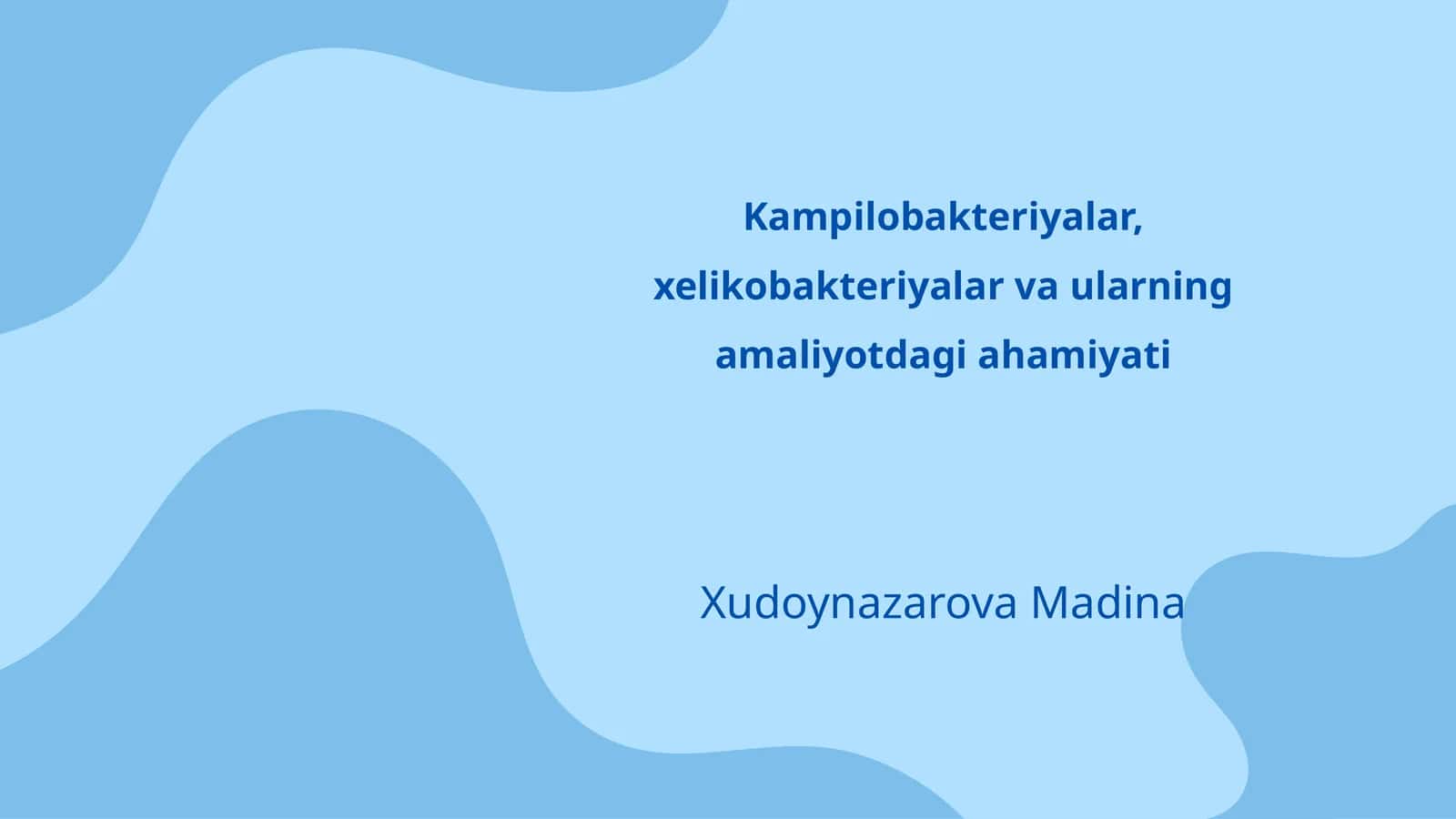 Kampilobakteriyalar, xelikobakteriyalar va ularning amaliyotdagi ahamiyati 1