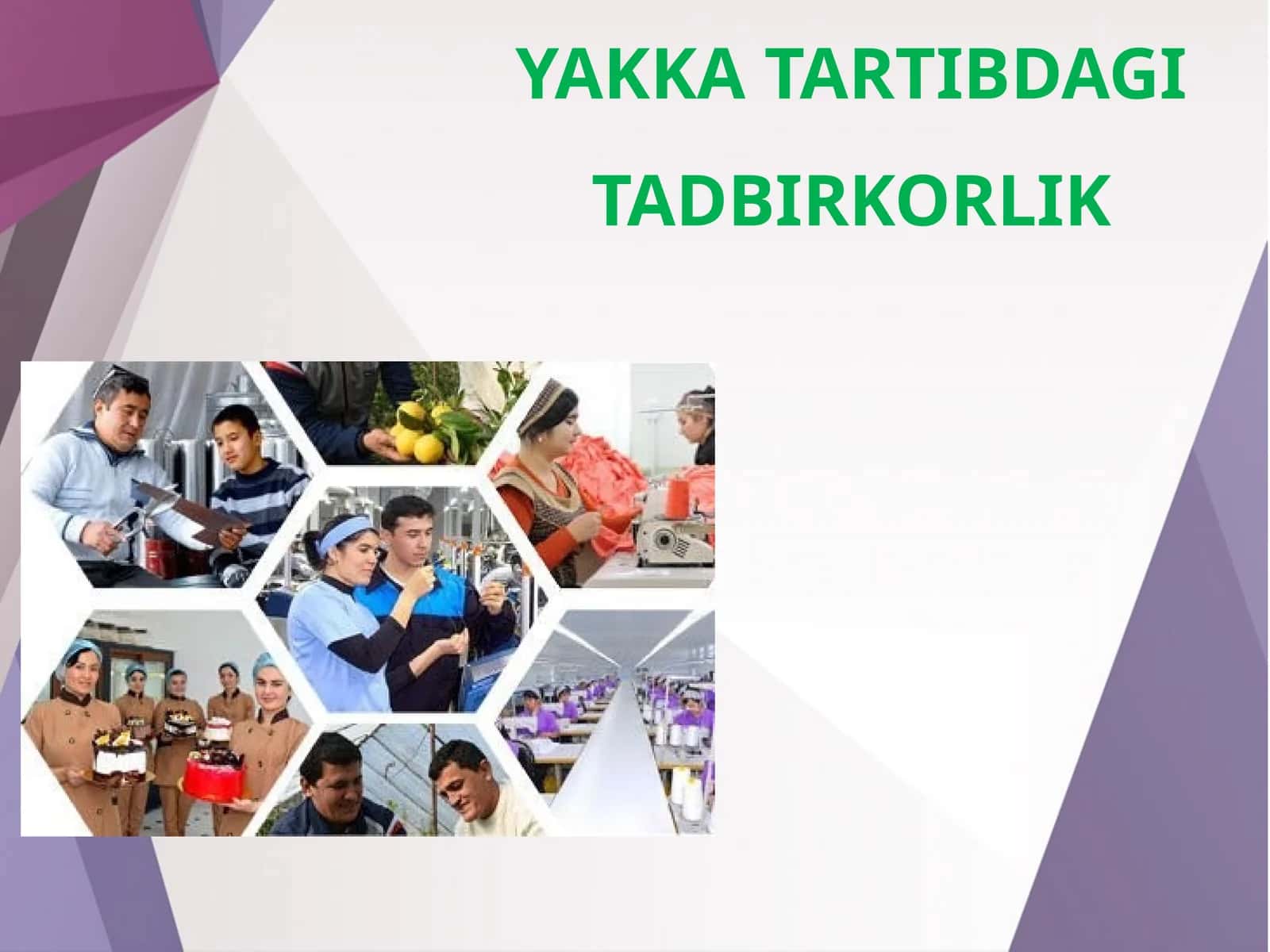 11-sinf Tadbirkorlik asoslari fanidan Yakka tartibdagi tadbirkorlik 1