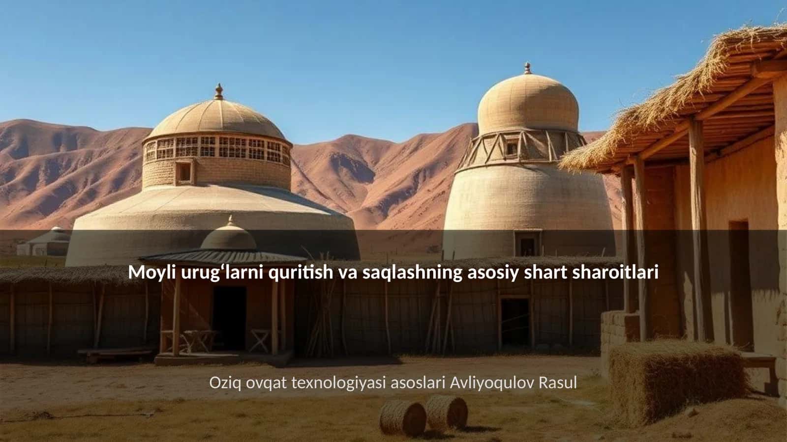 Moyli urugʻlarni quritish va saqlashning asosiy shart sharoitlari 1