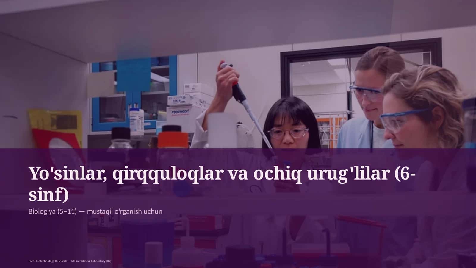 Yo'sinlar, qirqquloqlar va ochiq urug'lilar (6-sinf) 1