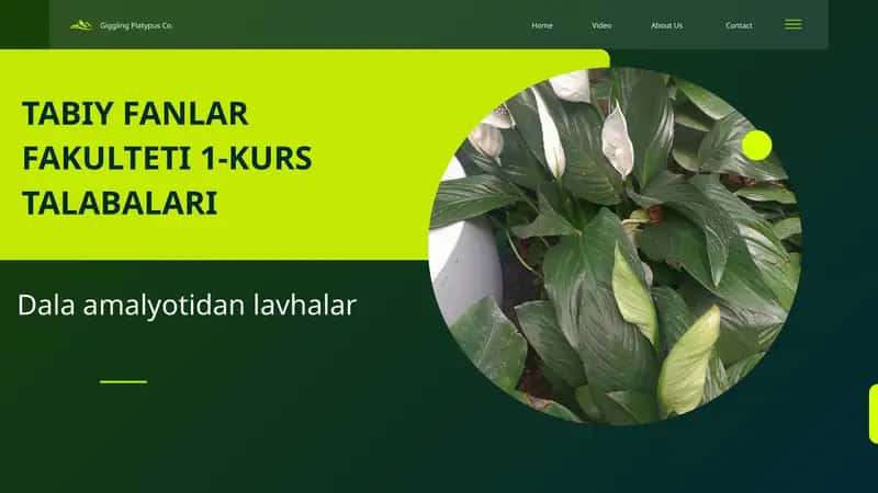 Dala amalyotidan lavhalar 1