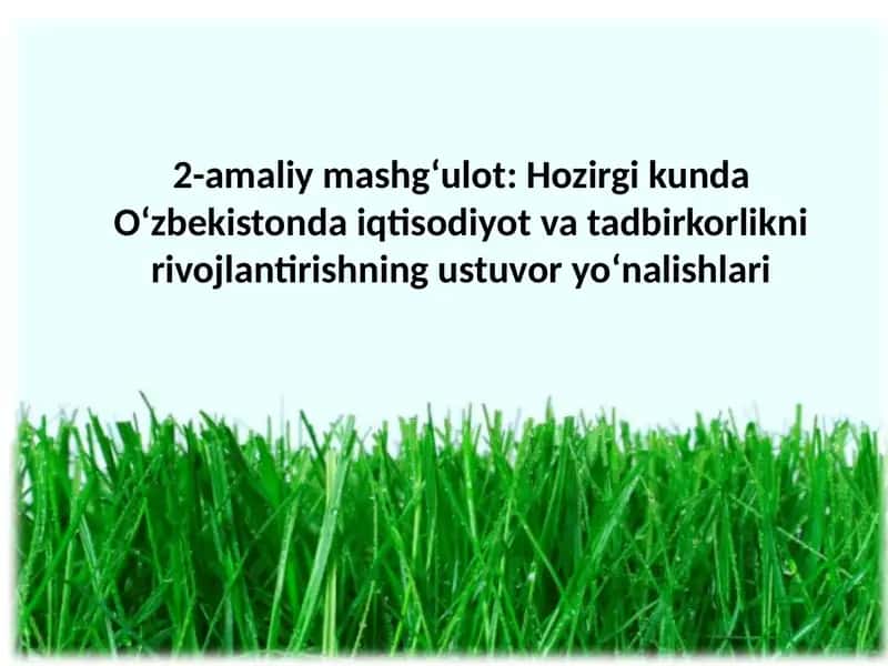 O‘zbekistonda iqtisodiyot va tadbirkorlikni rivojlantirishning ustuvor yo‘nalishlari 1