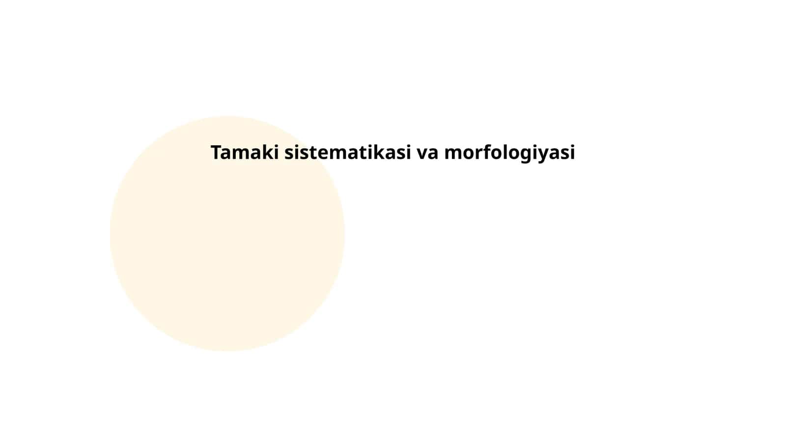 Tamaki sistematikasi va morfologiyasi 1