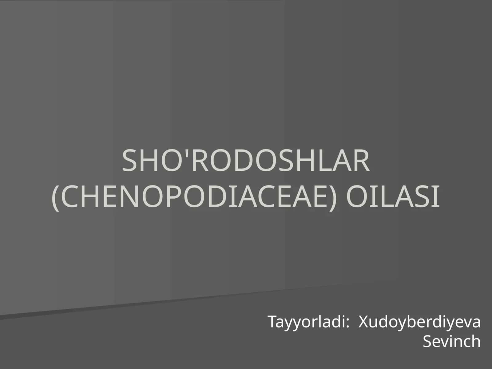 SHO'RODOSHLAR (CHENOPODIACEAE) OILASI 1