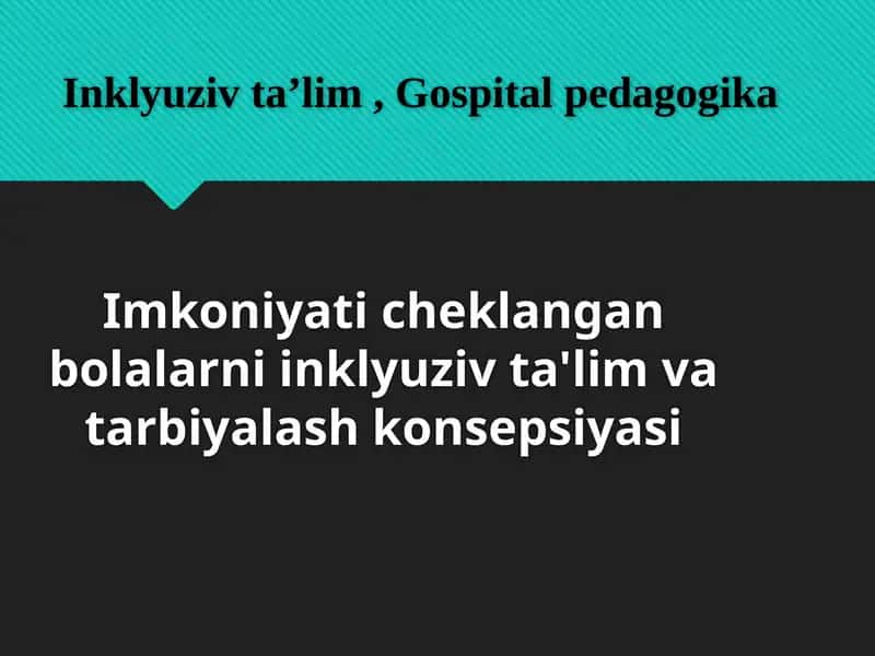 Imkoniyati cheklangan bolalarni inklyuziv ta'lim va tarbiyalash konsepsiyasi 1