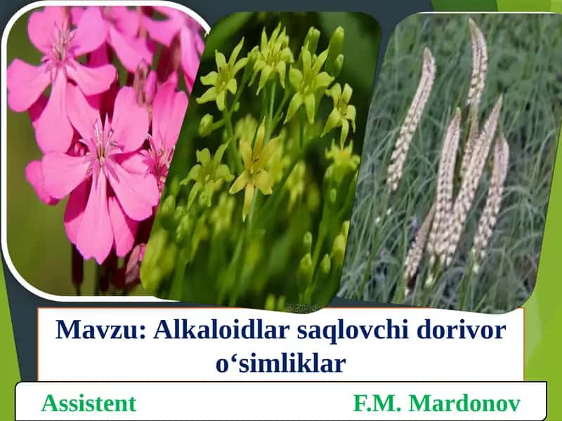 Alkaloidlarning ta'rifi 1
