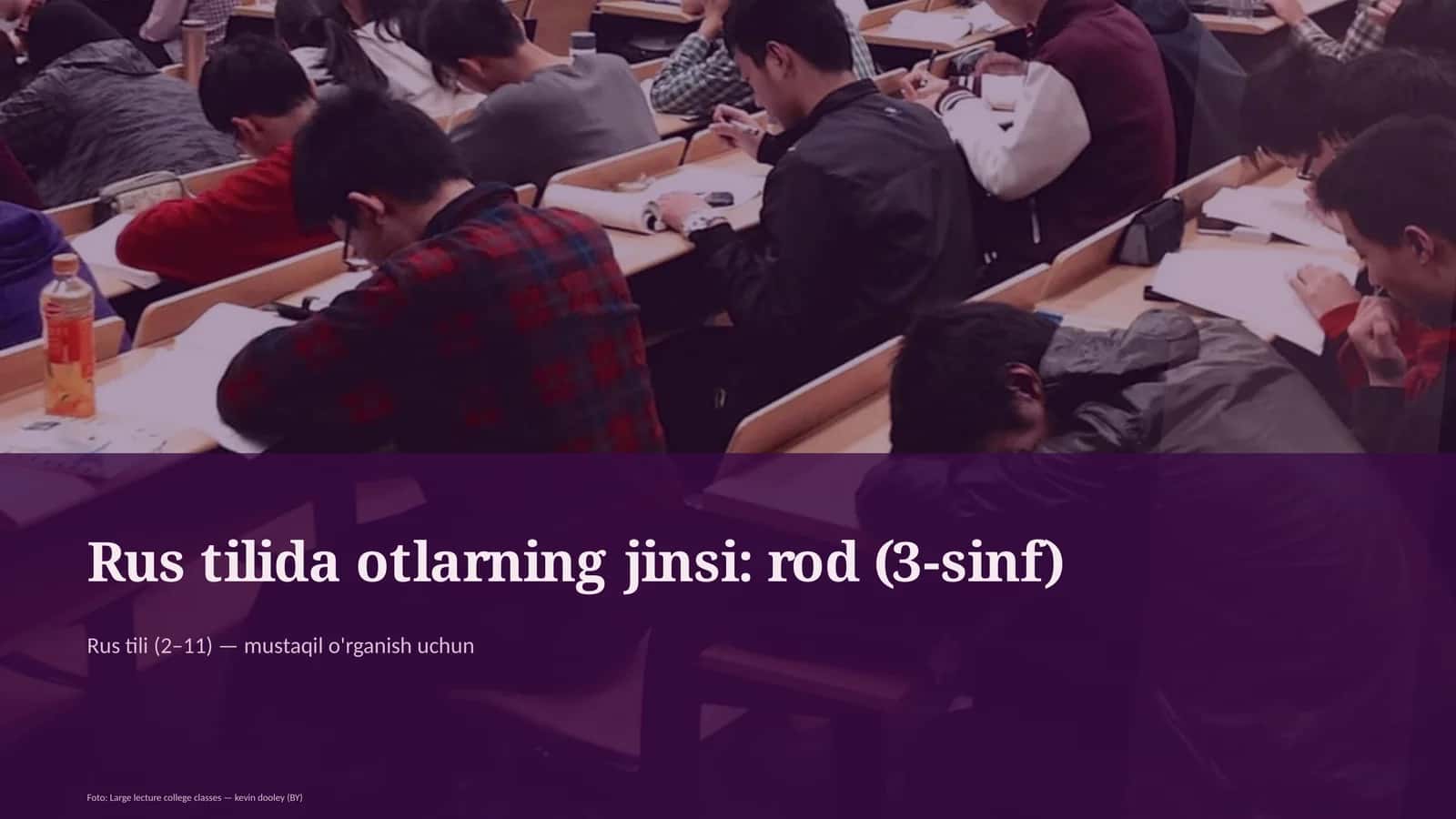 Rus tilida otlarning jinsi: rod (3-sinf) 1