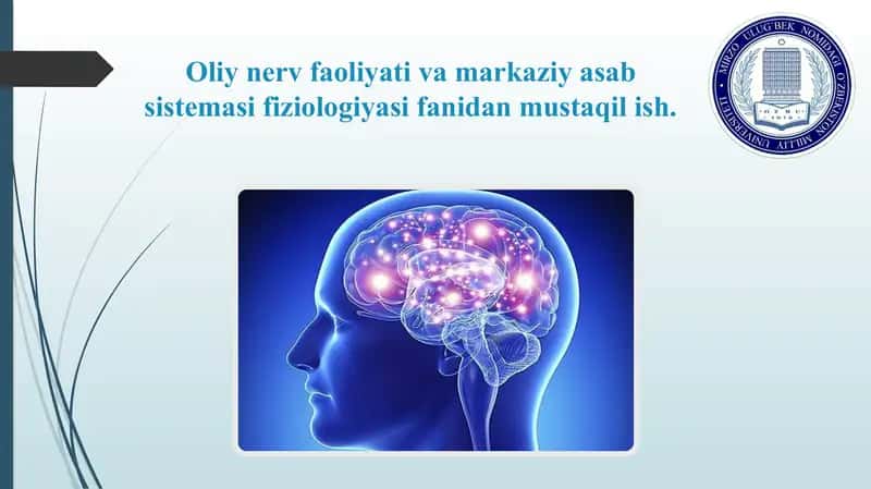 Oliy nerv faoliyati va markaziy asab sistemasi fiziologiyasi fanidan mustaqil ish. 1