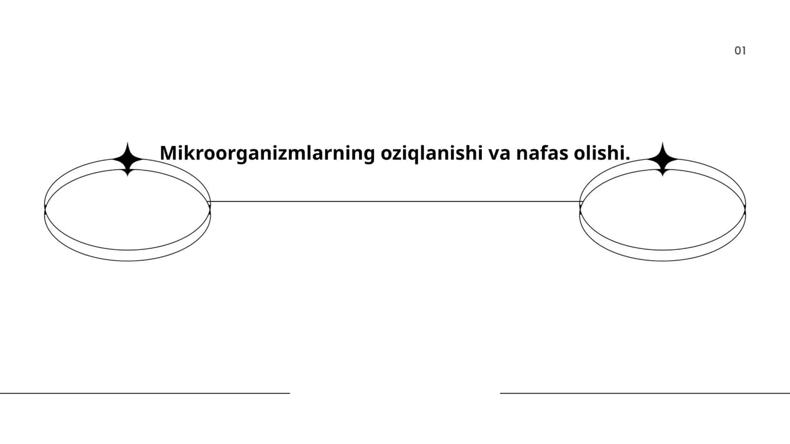 Oziq-ovqat turlari 1