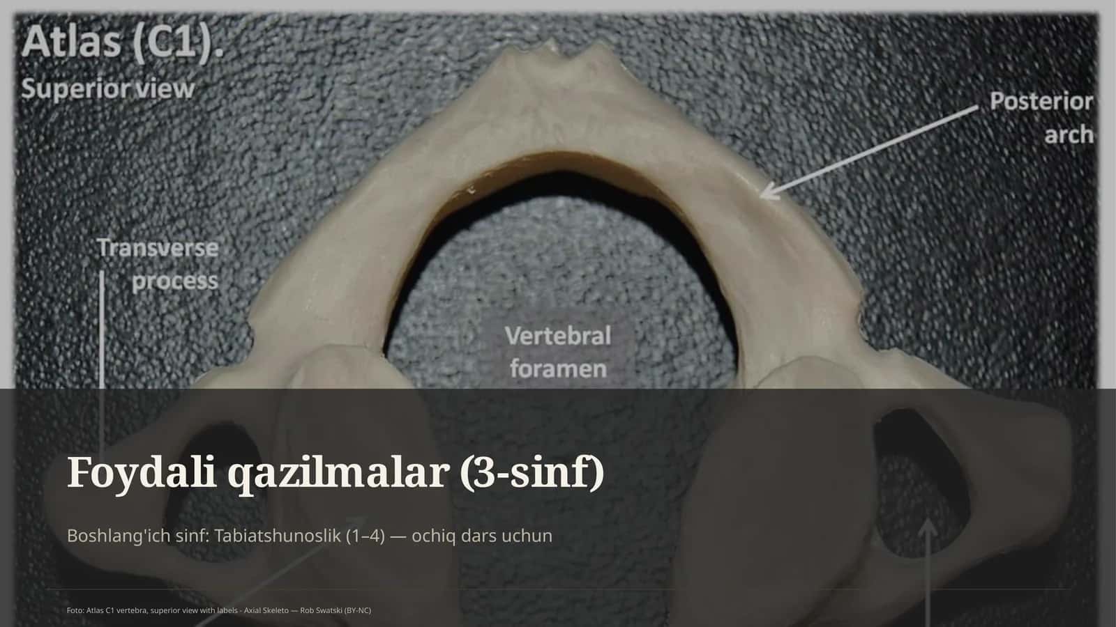 Foydali qazilmalar (3-sinf) 1