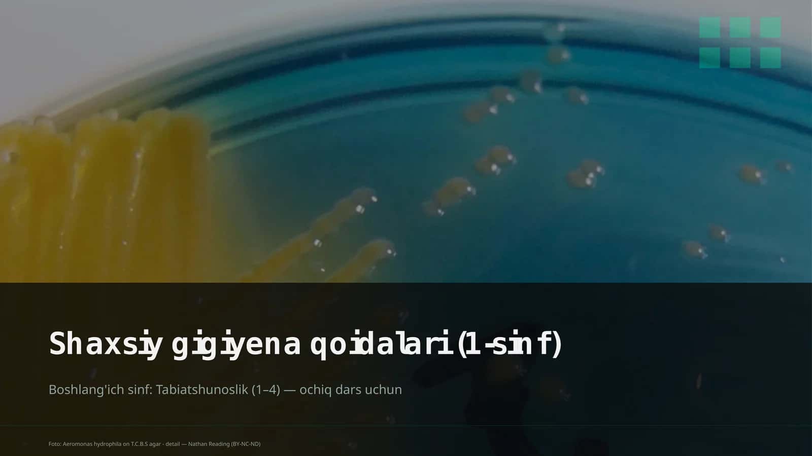 Shaxsiy gigiyena qoidalari (1-sinf) 1