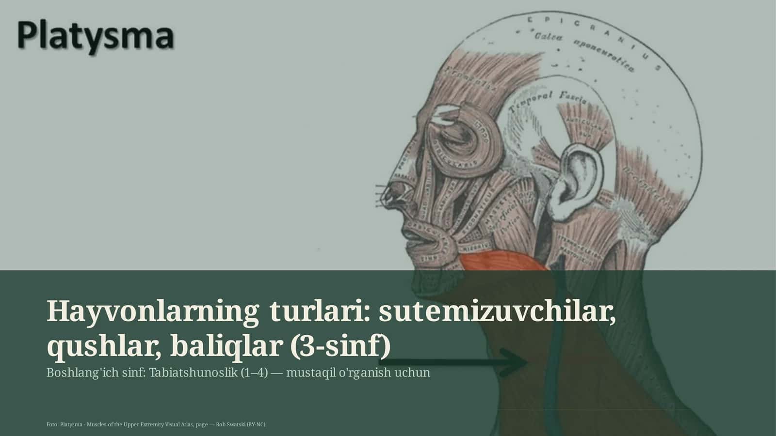 Tabiatshunoslik (1– 4) 1