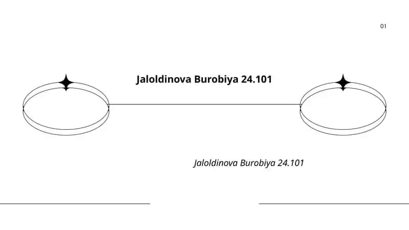 Jaloldinova Burobiya 24.101 1