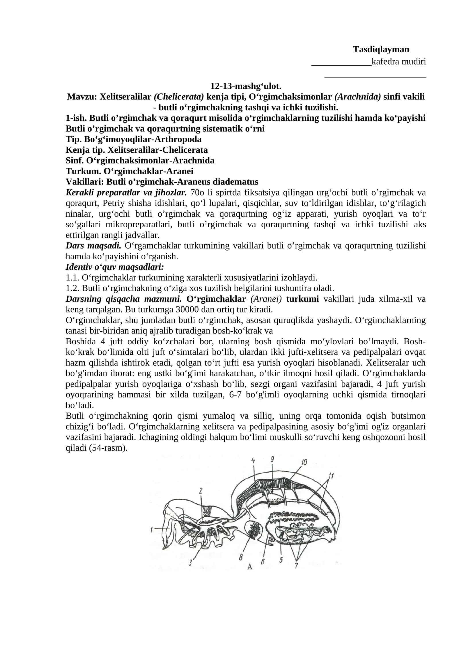 O‘rgimchaklar (Arachnida) 1