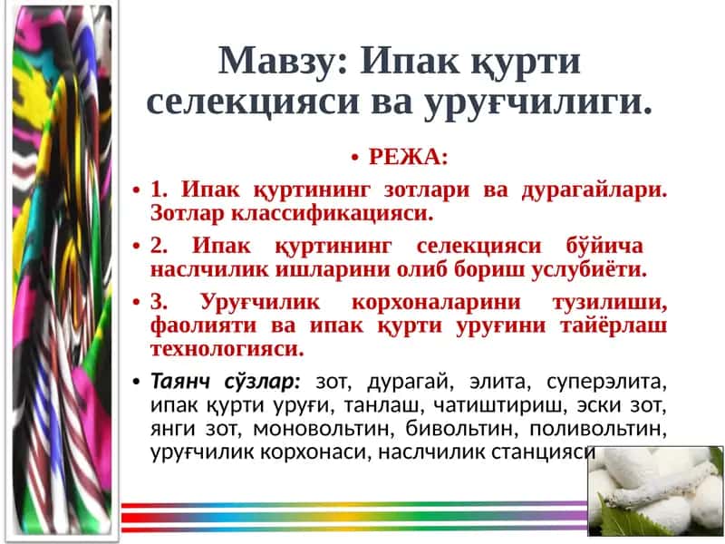Ипак қуртиселекцияси ва уруғчилиги 1