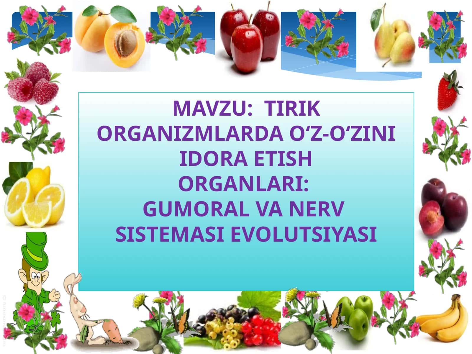 TIRIKORGANIZMLARDA O‘Z-O‘ZINI IDORA ETISH ORGANLARI: GUMORALVA NERV SISTEMASIEVOLUTSIYASI 1