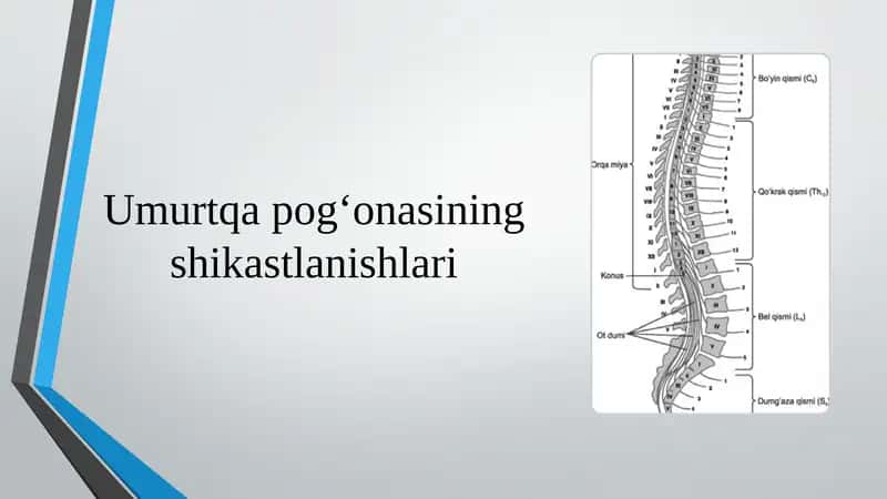 Umurtqa pog‘onasining shikastlanishlari 1