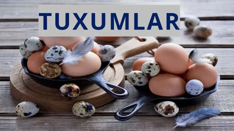 Tuxumlar turlari 1