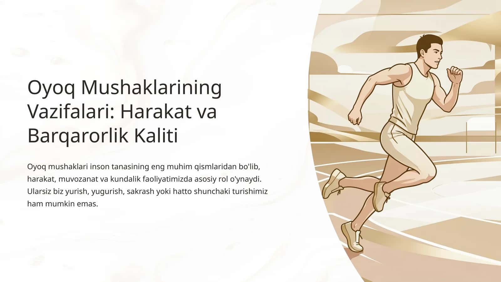 Oyoq Mushaklarining Vazifalari 1