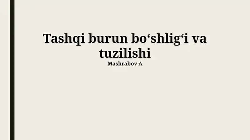 Burun Teshiklari (Nares) 1