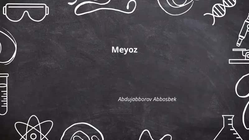 Meyoz 1