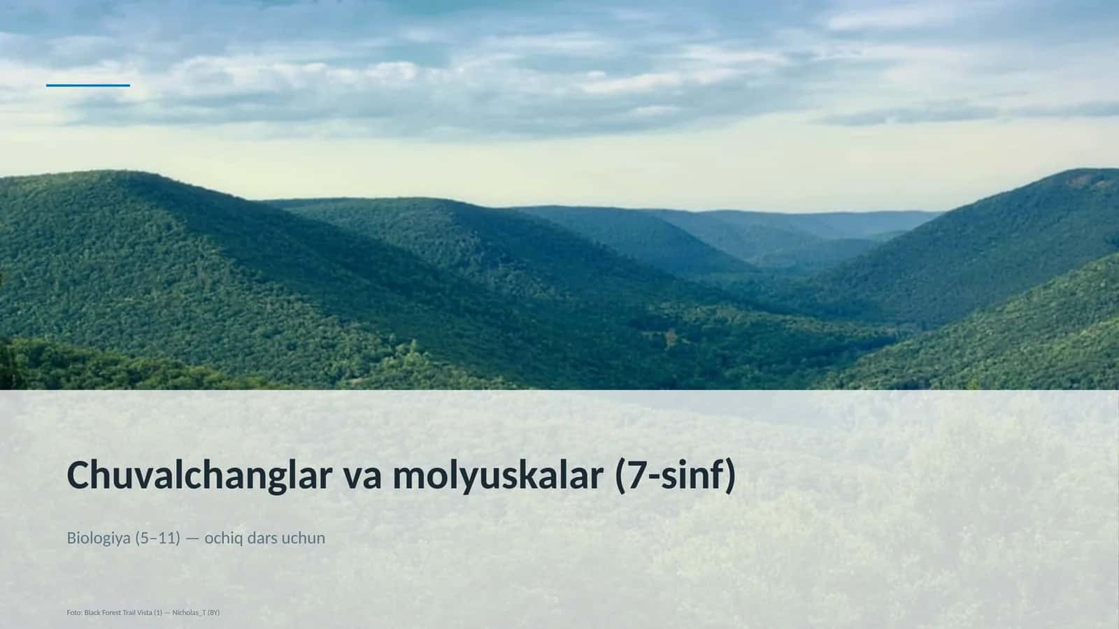 Chuvalchanglar va molyuskalar (7-sinf) 1