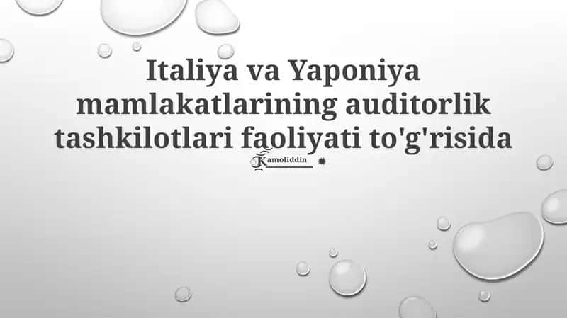 Italiya va Yaponiya mamlakatlarining auditorlik tashkilotlari faoliyati to'g'risida 1