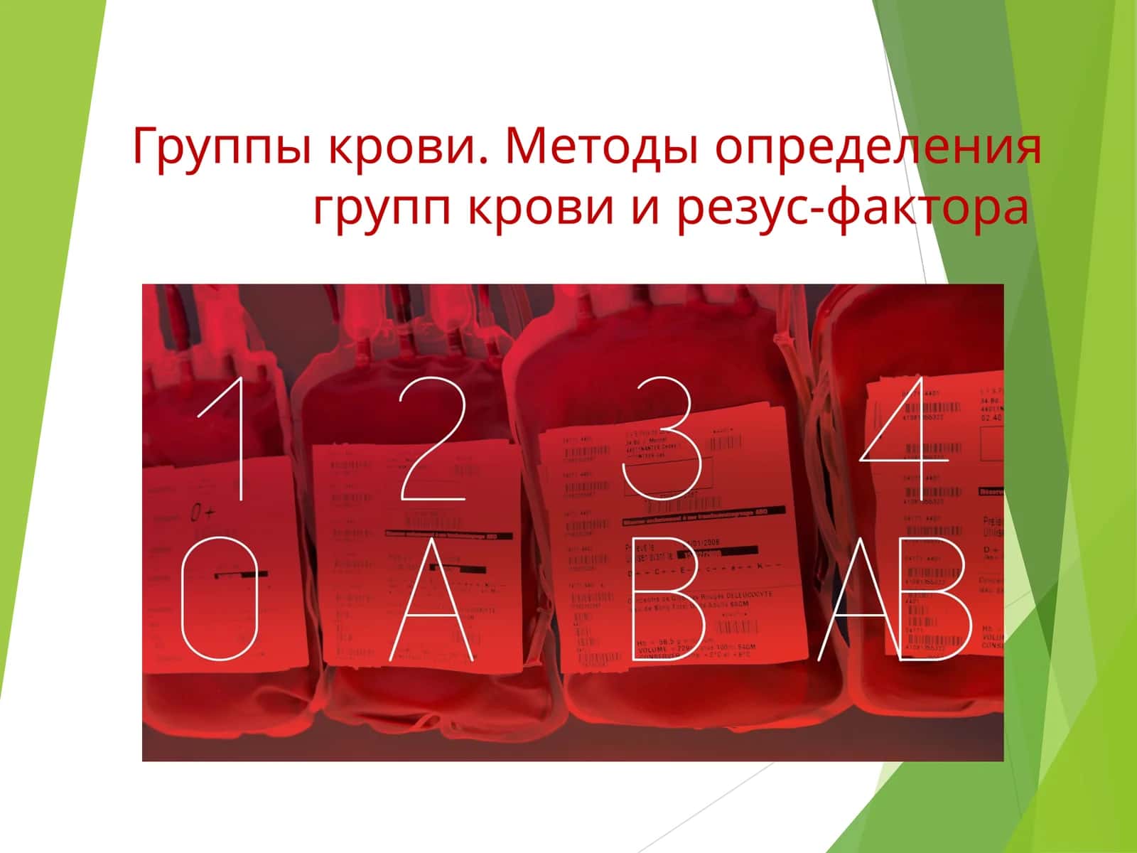 Группы крови. Методы определения групп крови и резус-фактора 1