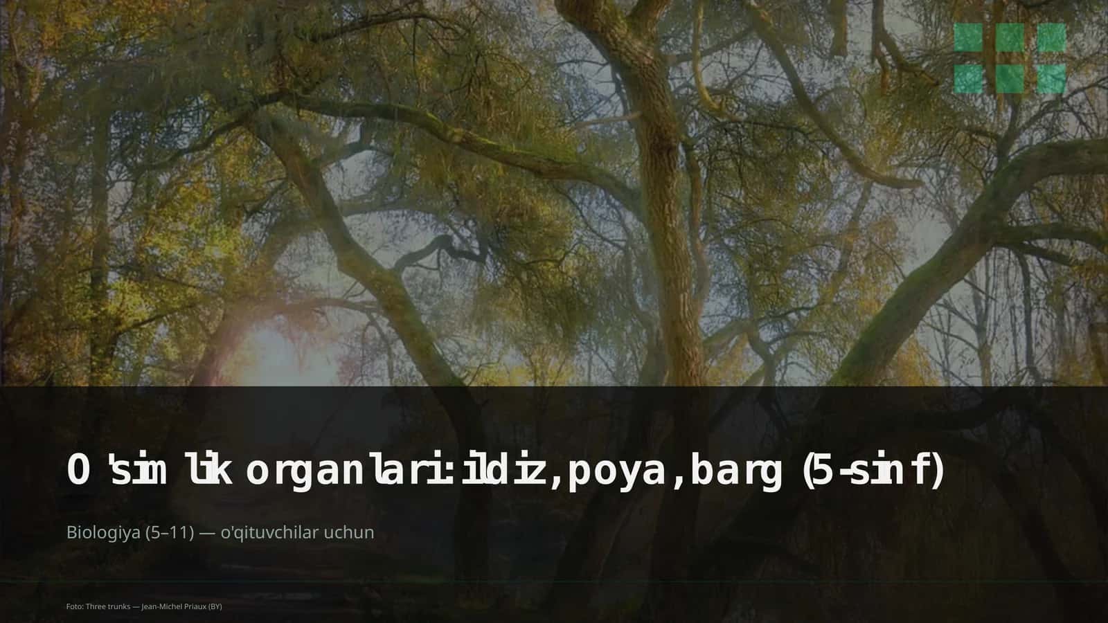 Biologiya (5–11) o'qituvchilar uchun 1