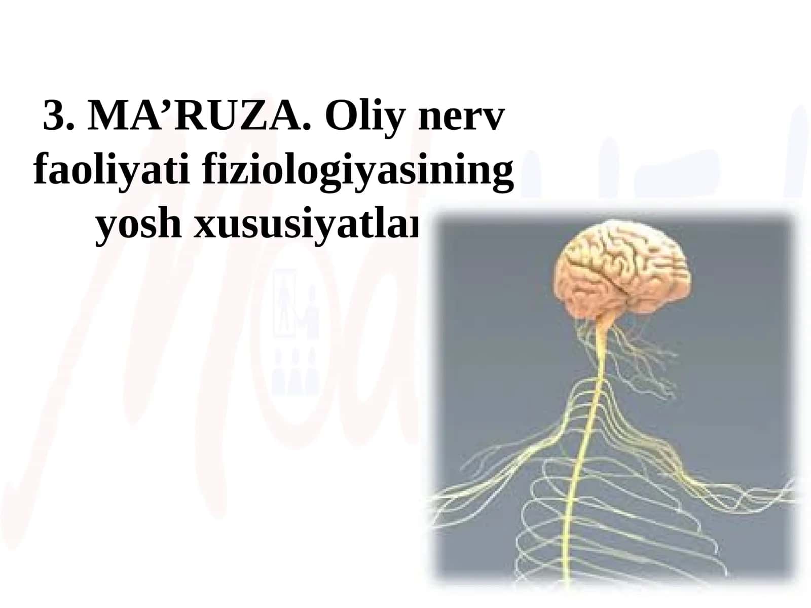 MA’RUZA.Oliy nerv faoliyati fiziologiyasining yosh xususiyatlari 1