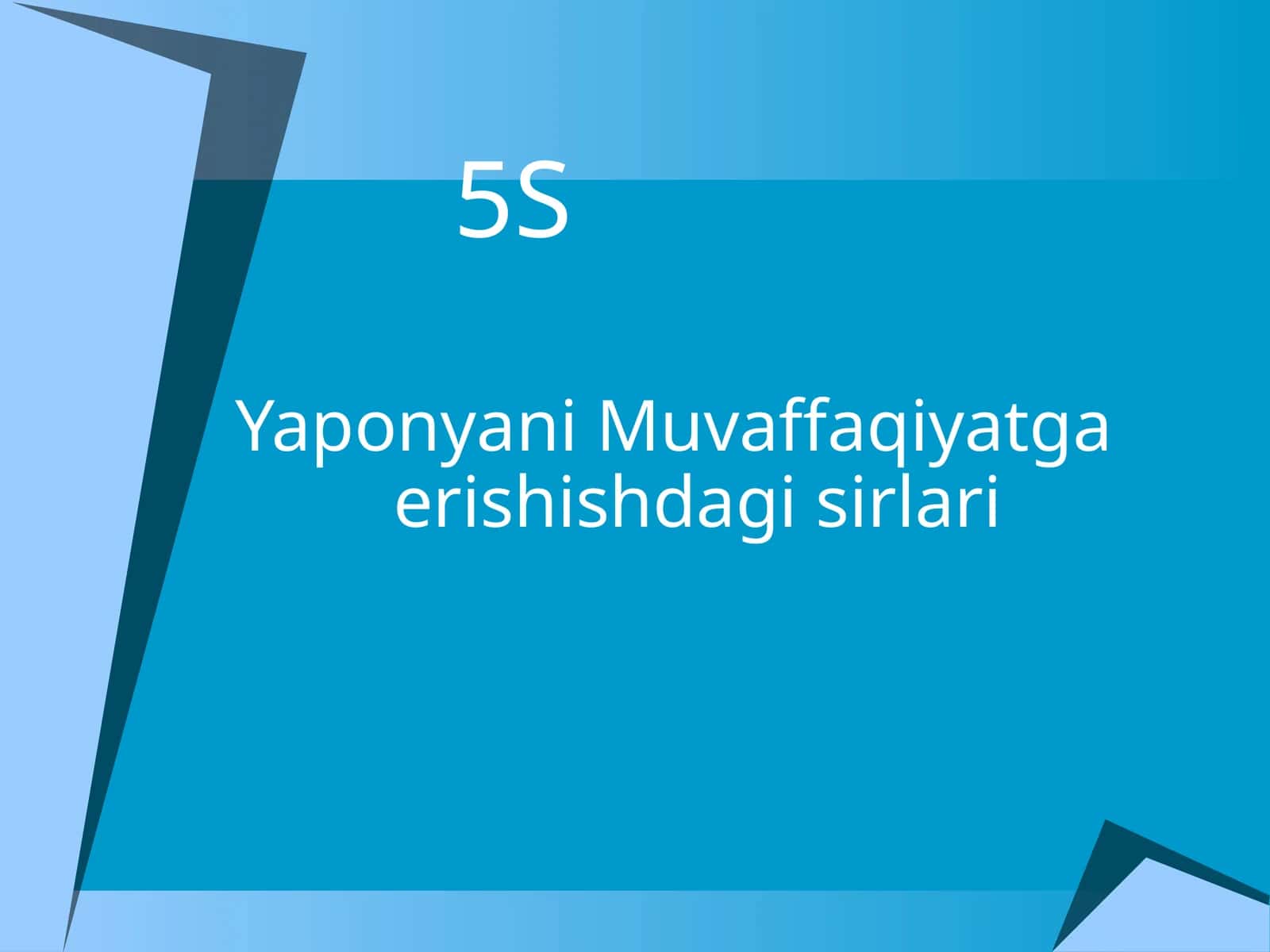 5S tizimi. Yaponyani Muvaffaqiyatga erishishdagi sirlari 1