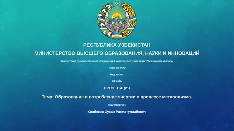 Лечебное дело 1